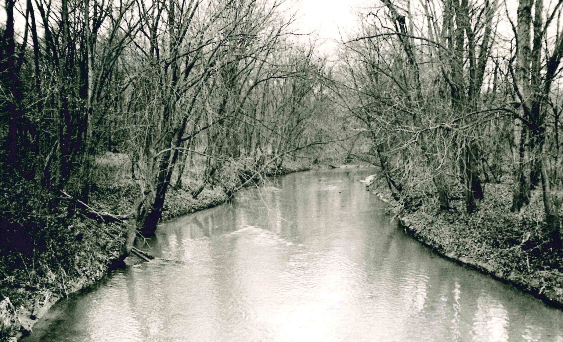 Kickapoo Creek
